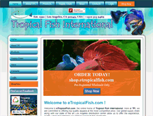 Tablet Screenshot of etropicalfish.com